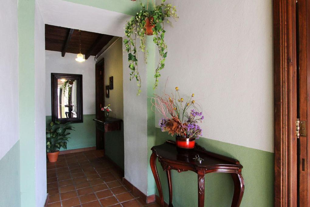 Casa Rural Los Aromos - Wunderschones Landhaus Mit Meerblick Hermigua Esterno foto