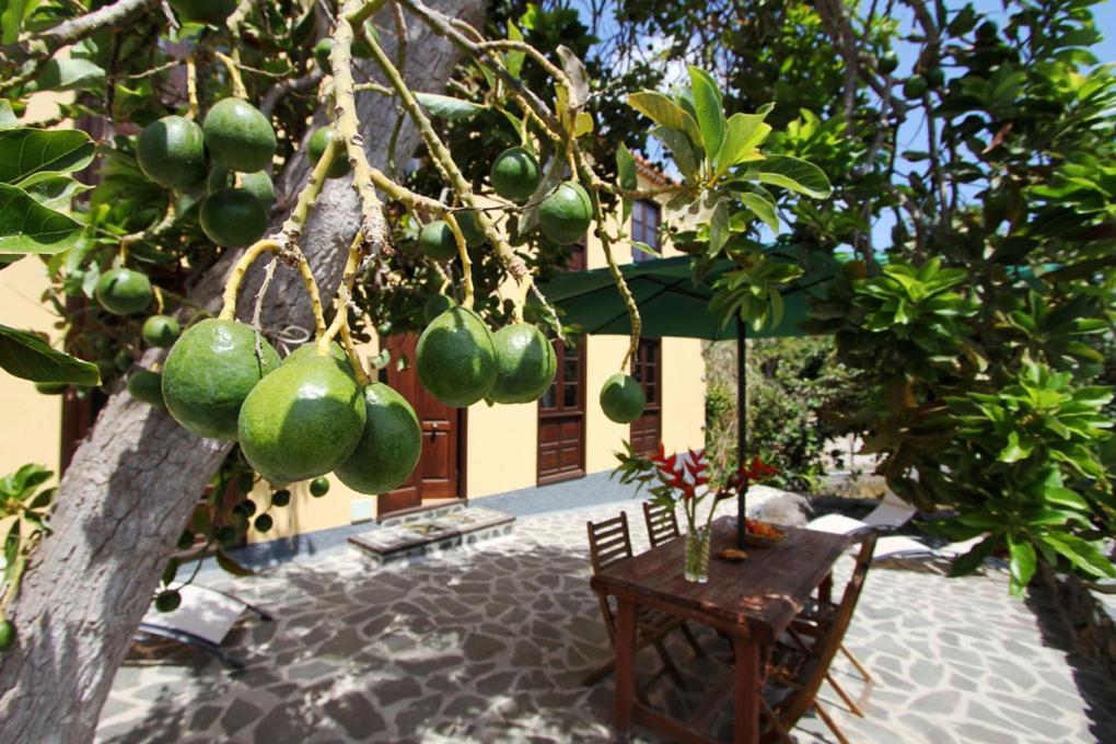 Casa Rural Los Aromos - Wunderschones Landhaus Mit Meerblick Hermigua Esterno foto
