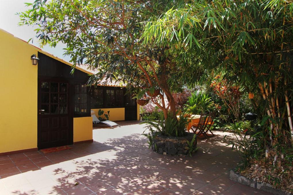 Casa Rural Los Aromos - Wunderschones Landhaus Mit Meerblick Hermigua Esterno foto